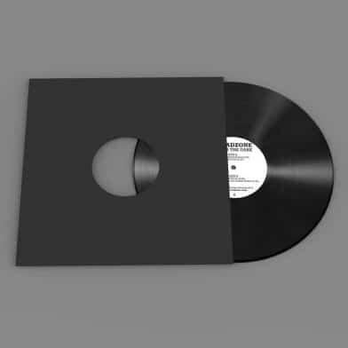 Fire In The Dark LP - Image 2
