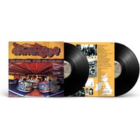 Room To Roam (Half Speed Master) Double Heavyweight Vinyl - The Waterboys - Image 2