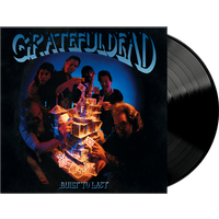 Built To Last Vinyl - Grateful Dead