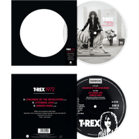 Children Of The Revolution / Jitterbug Love / Sunken Rags 7" Picture Disc 7 Inch Vinyl" - T. Rex - Image 2