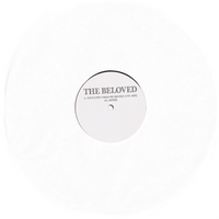 Your Love Takes Me Higher (Evil Mix)/Awoke 12 Inch - The Beloved