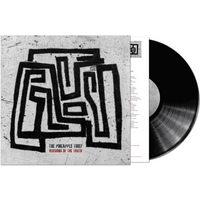 Versions of the Truth Vinyl - The Pineapple Thief