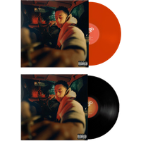 Hugo Vinyl Bundle - Loyle Carner - Image 2