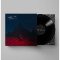 Punisher Vinyl - Phoebe Bridgers