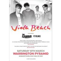 Warrington Pyramid Print (A3) - Viola Beach