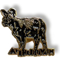 Hyena Badge - At The Drive In