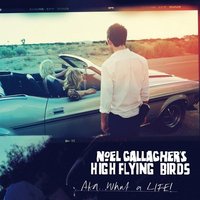 AKA...What A Life! (7 Inch Single) 7 Inch - Noel Gallagher's High Flying Birds