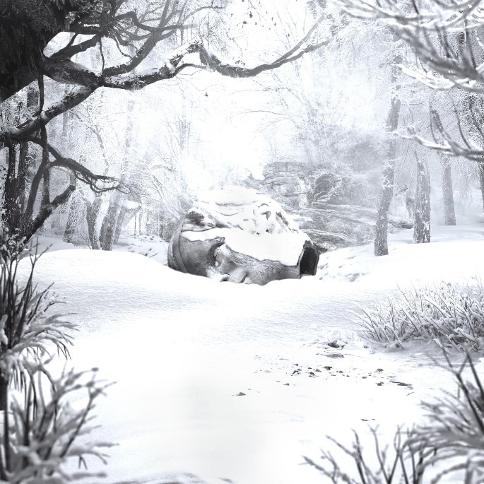 SZNZ: Winter CD