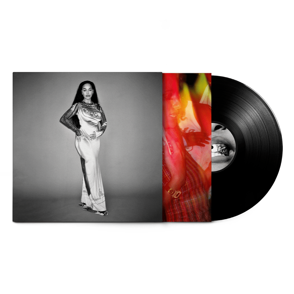 falling or flying Vinyl