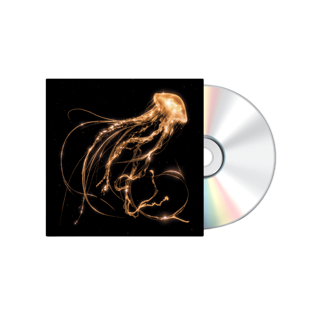 Back To The Water Below CD