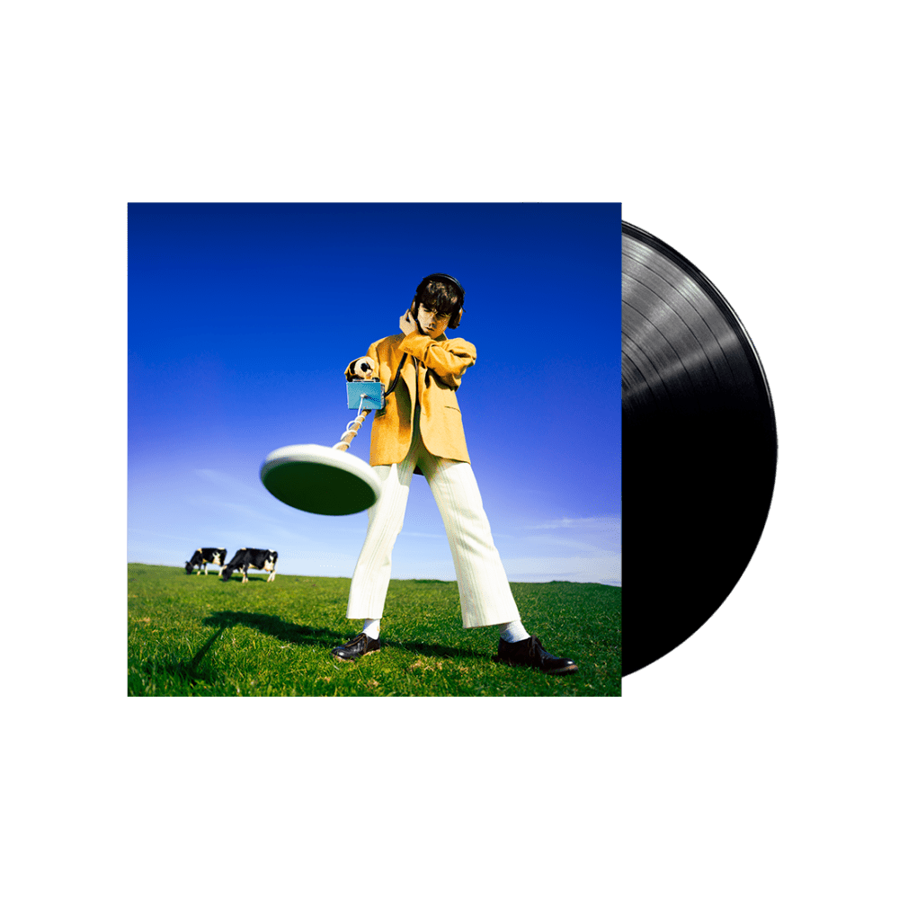 What Happened to the Beach? Vinyl