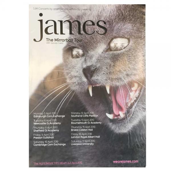 Cat Tour Poster