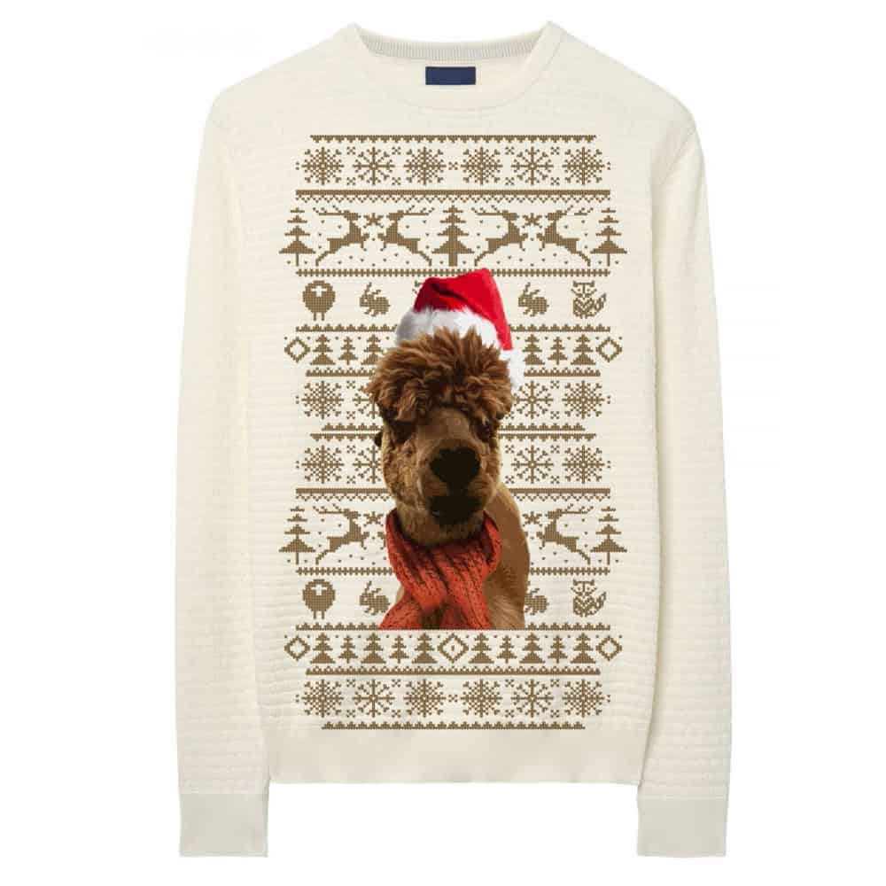 Beige Alpaca Sweatshirt