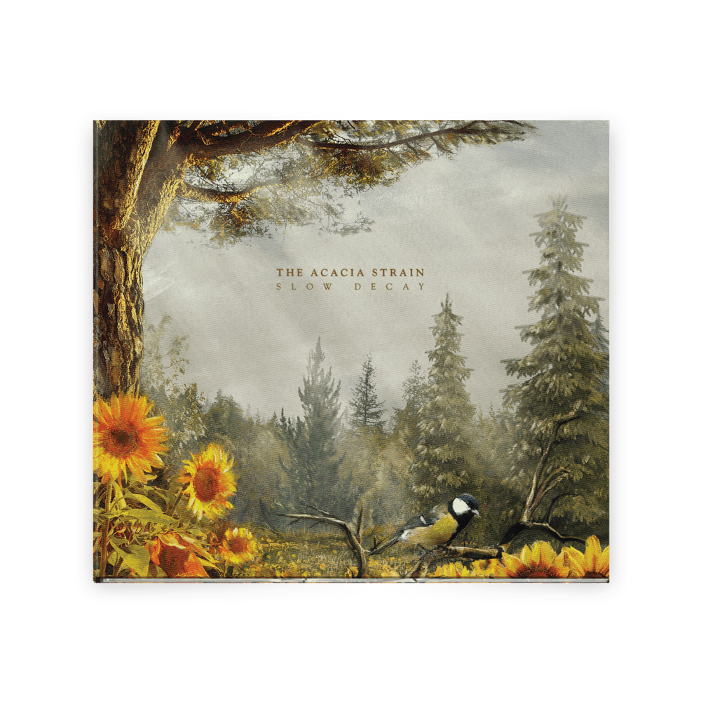 Slow Decay CD
