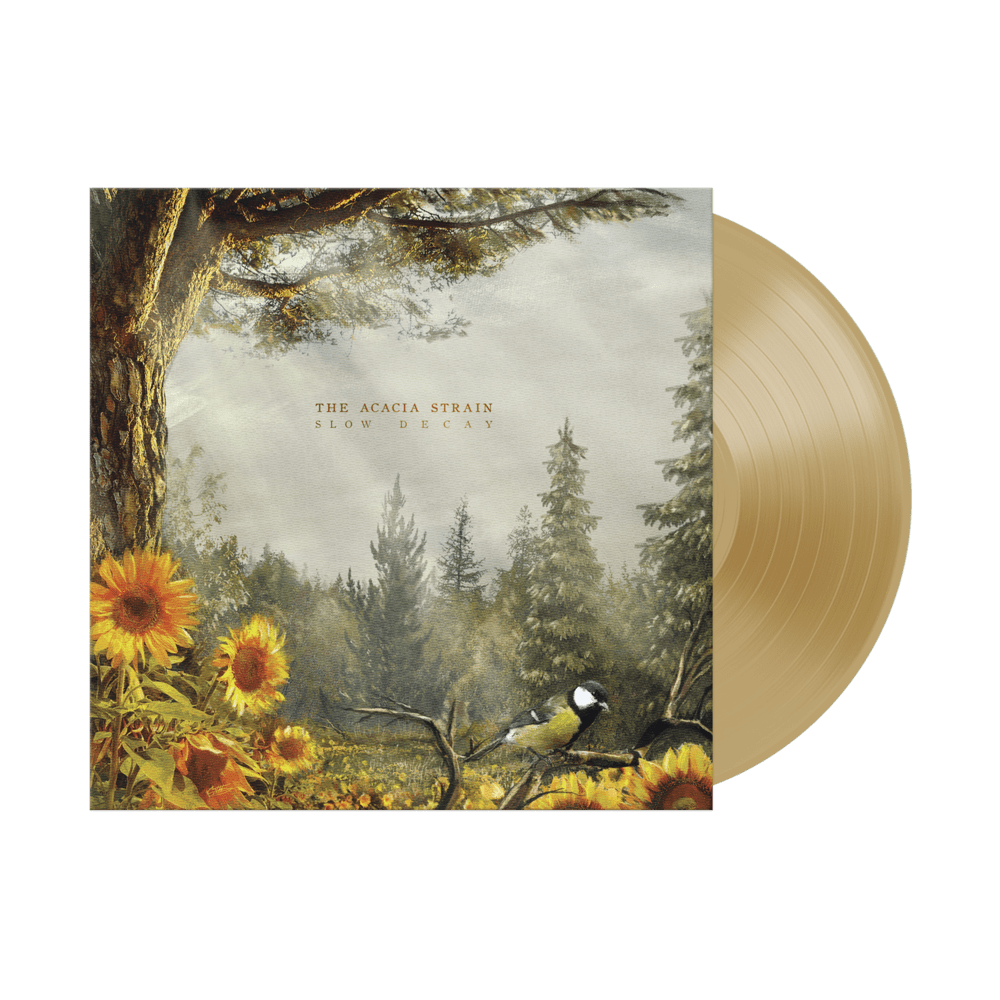 Slow Decay Coloured LP