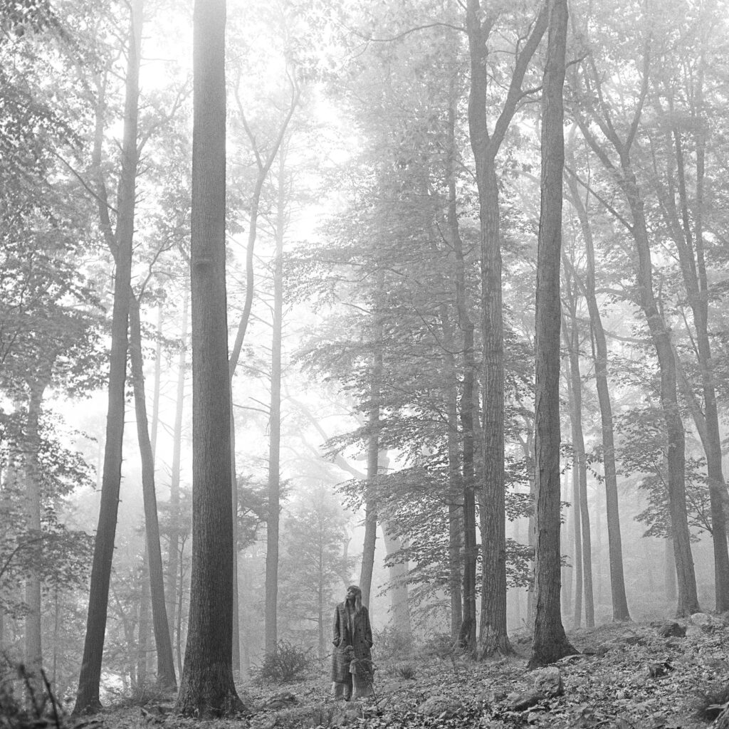 Folklore (In The Trees) CD