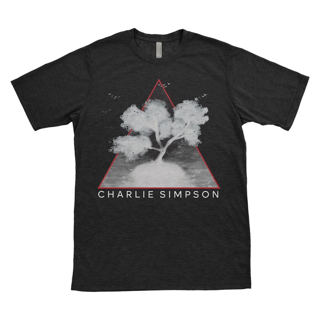 When We Were Lions T-Shirt