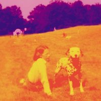 Blinking Lights & Other Revelations CD Album CD