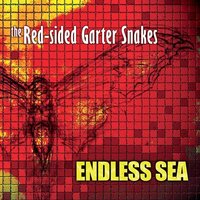 Endless Sea CD