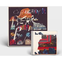 Painted Ruins CD