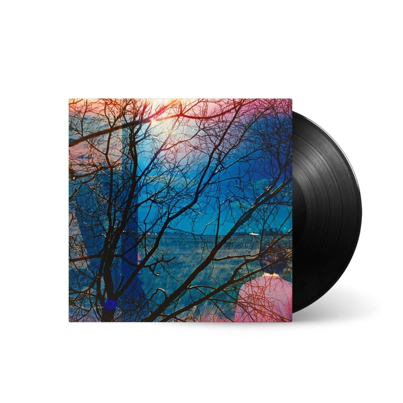 Idlewild IDLEWILD LP multicolor