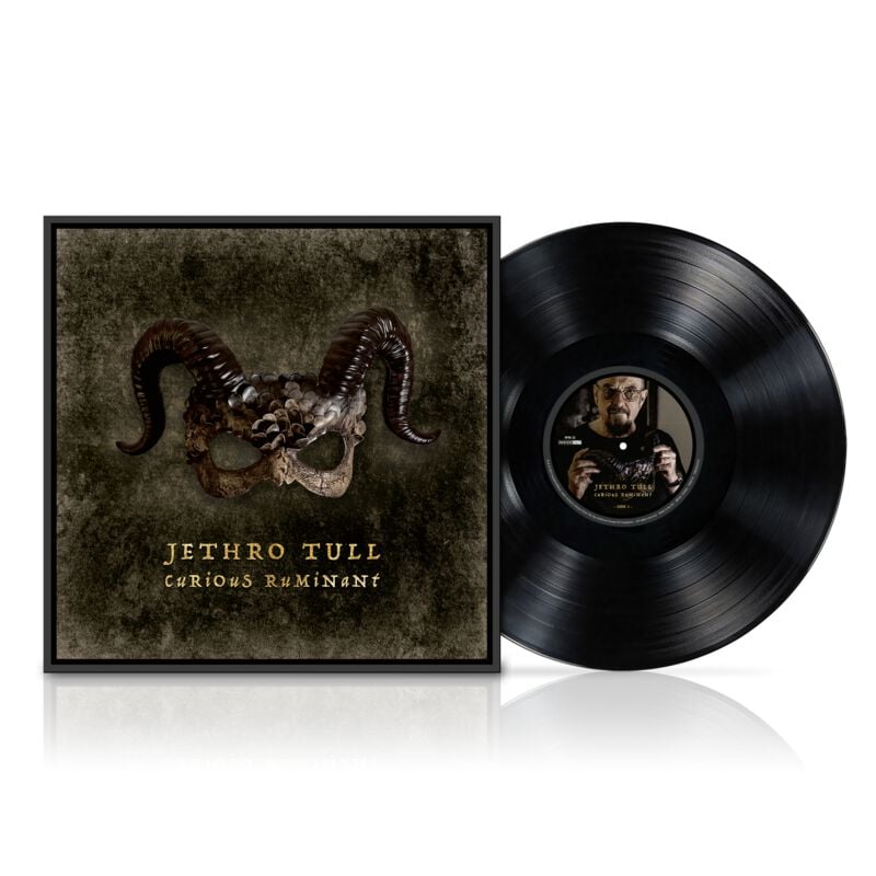 Jethro Tull Curious Ruminant LP multicolor