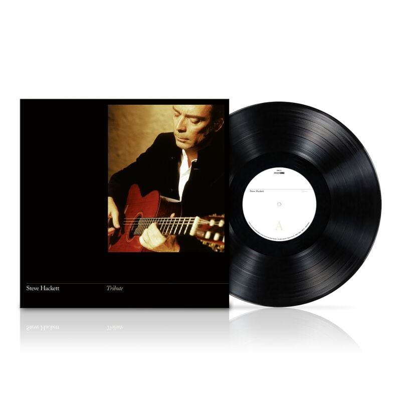 Steve Hackett Tribute LP multicolor