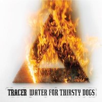 Water For Thirsty Dogs CD